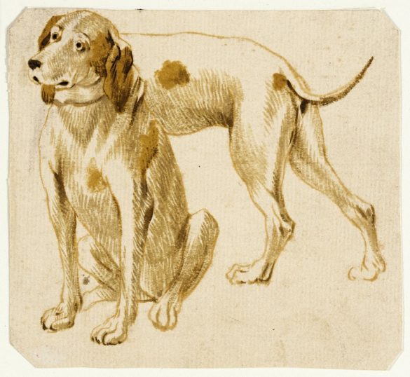 Frans Snyders - Studium Psów
