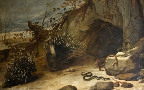 Jeżozwierze i żmije (ok. 1579-1657)