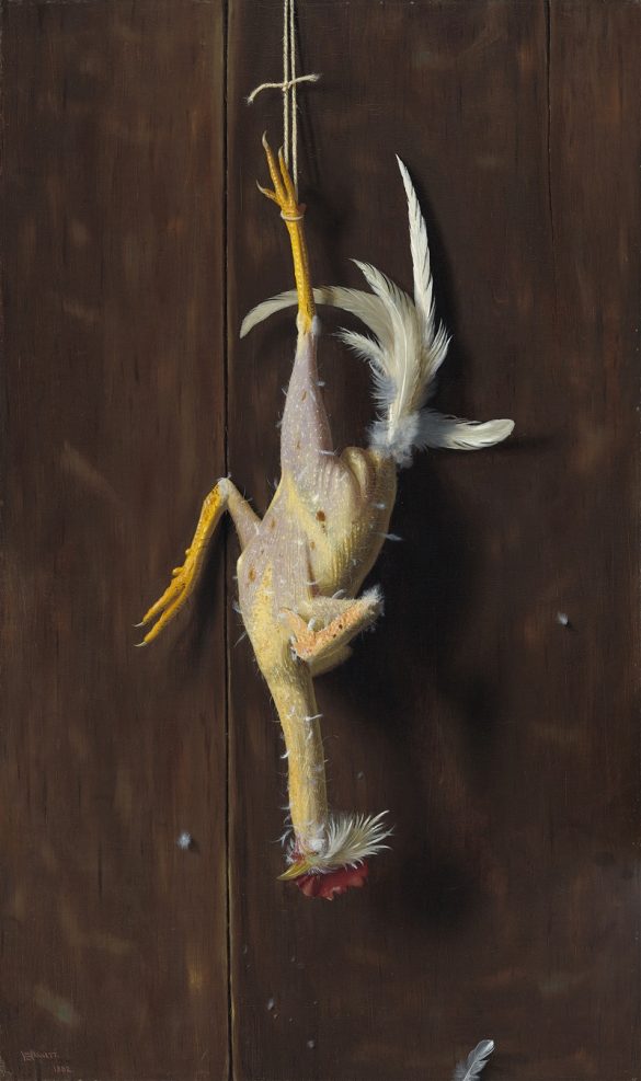 Plucked Clean (1882)