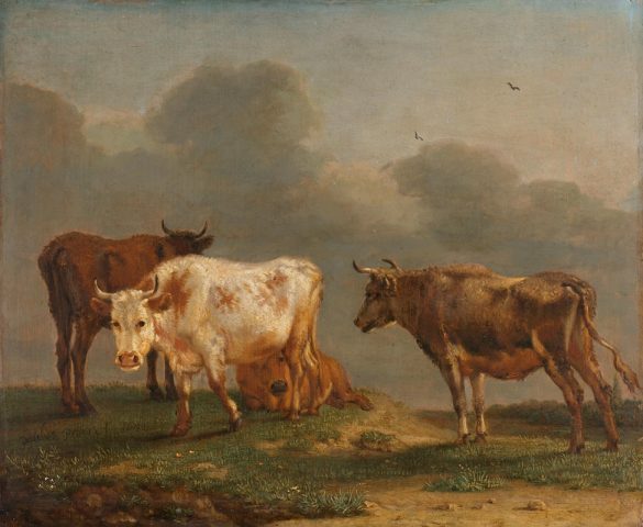 Cztery młode byki na łące (1651)