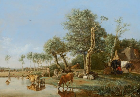 Krowy odbite w wodzie (1648)