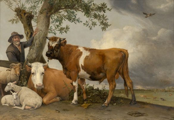 Paulus Potter - Byk (1647)