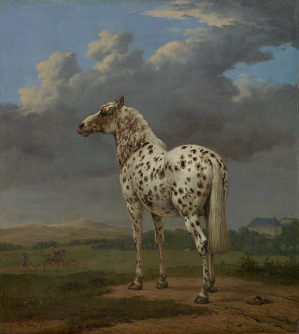 Srokaty koń (1650–1654)
