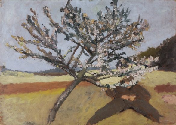 Mężczyzna leżący pod kwitnącym drzewem (1903)