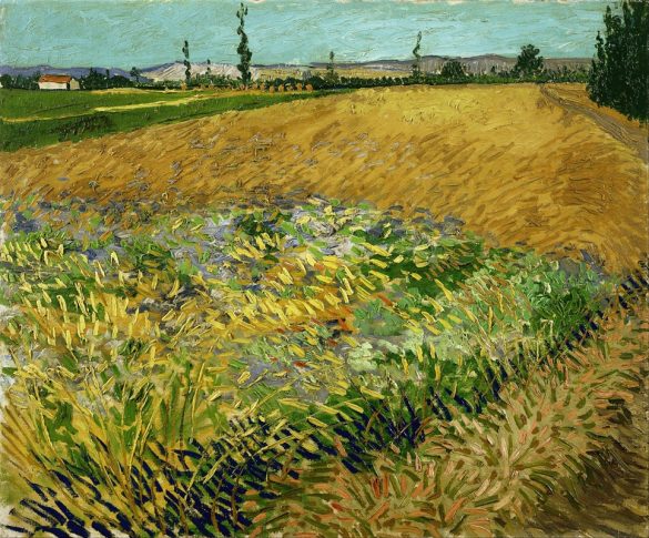 Pole pszenicy (1888)