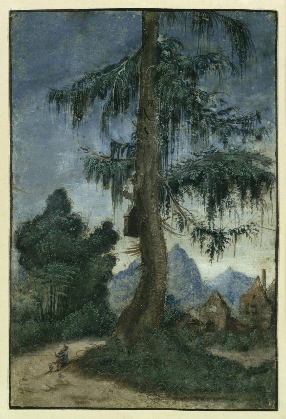 Krajobraz ze świerkiem (około 1522)